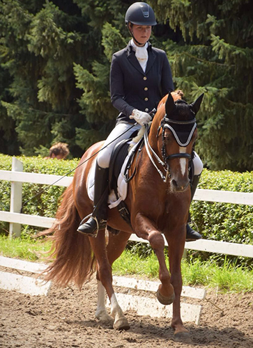 Holsteins-Gentleman-1.jpg