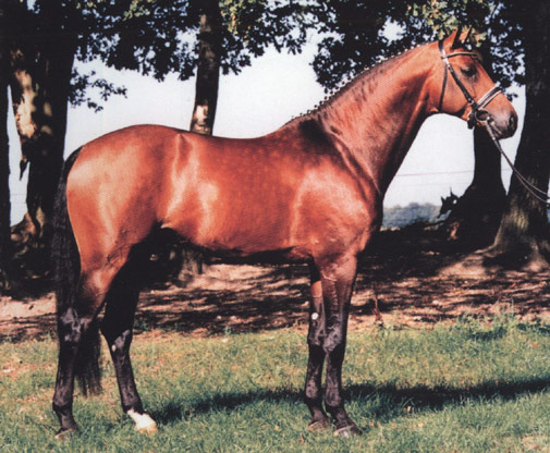 hengst_LeBon.jpg